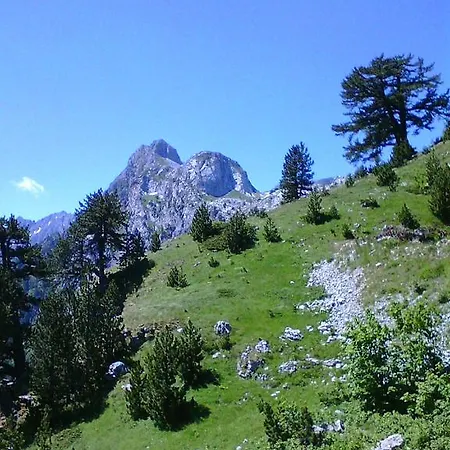 Astra Apartament
